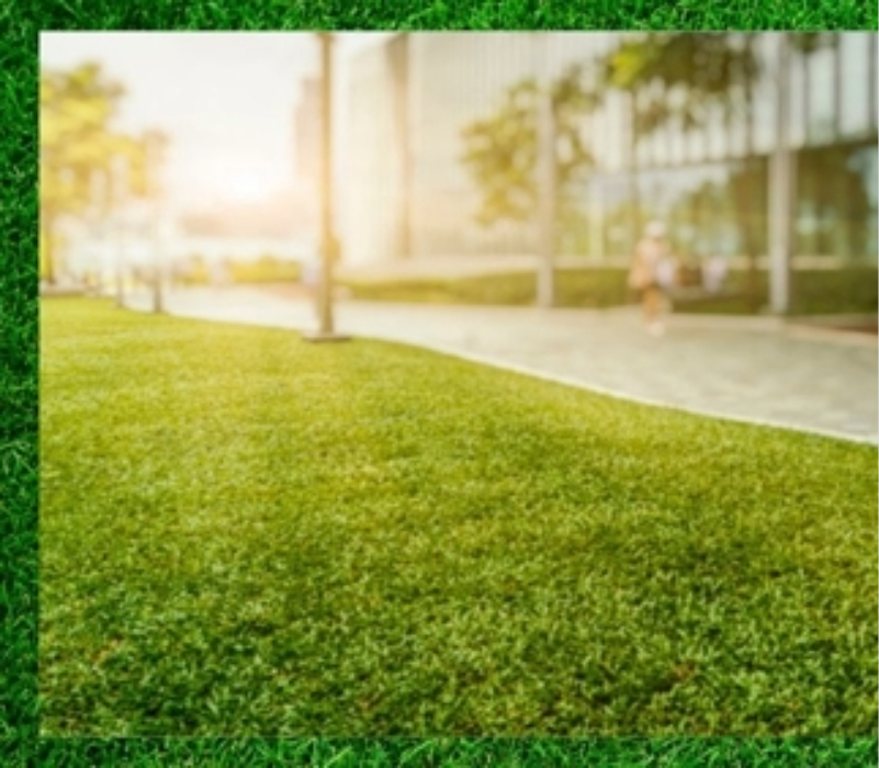 Why Businesses Need Professional Landscaping