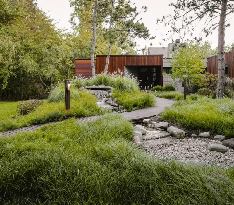 Why Softscape Design Matters for Outdoor Spaces