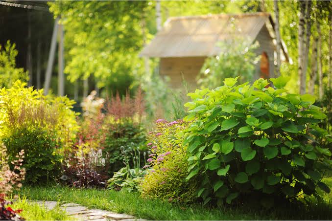 Beat the Extreme Heat: Essential Summer Landscaping Tips for Riyadh Homeowners
