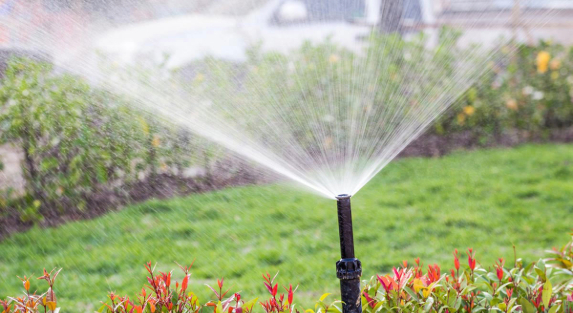 Beat the Heat: The Ultimate Guide to Garden Irrigation Systems in Riyadh